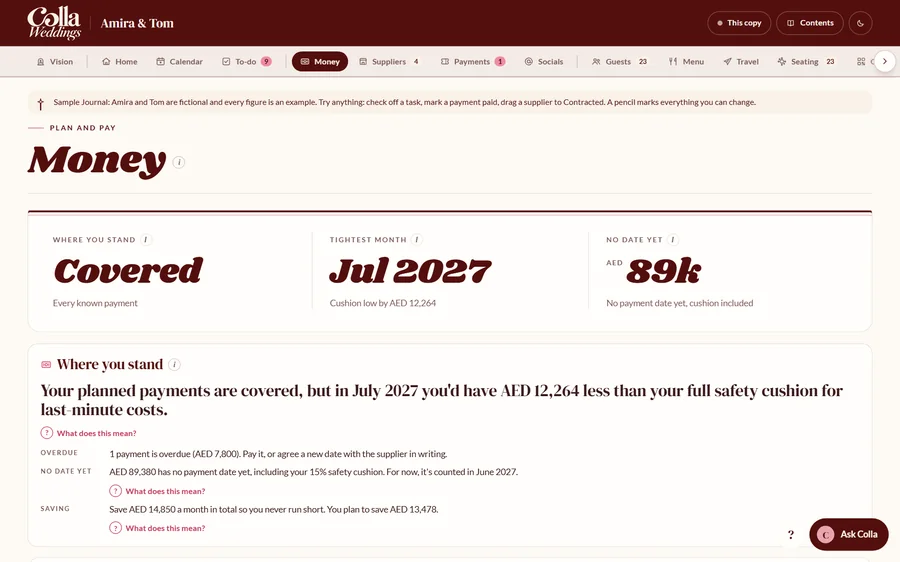 The Money page of the sample Journal: a month-by-month chart of payments against savings, with the tightest month marked.